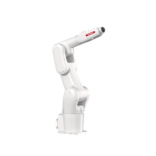 SIASUN Robot industrial - SN10A-10/1.15