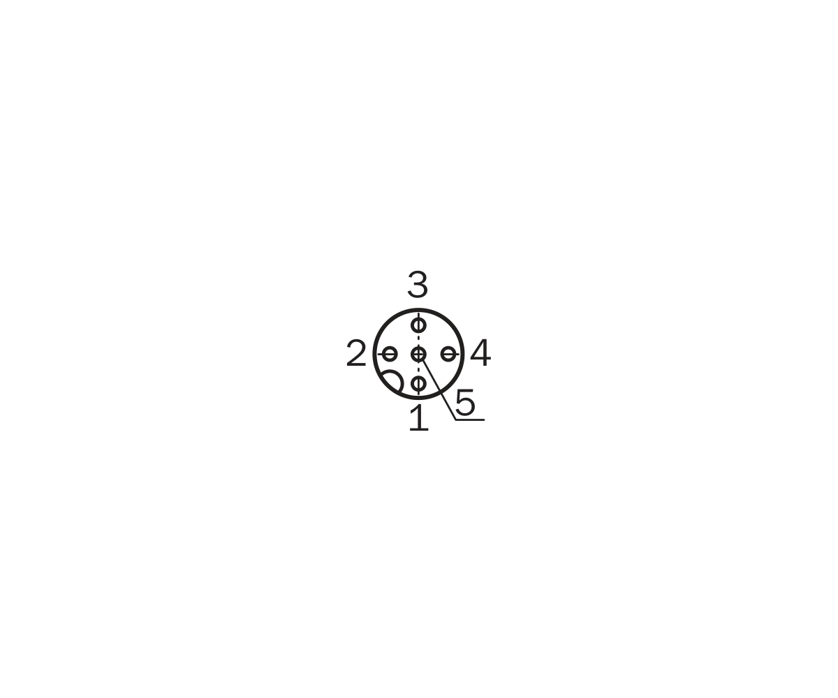 [Klever Portal:7886:19680173aff6] SICK Cable M12 recto para entornos higiénicos, 2 m - YF2AP5-020VB5XLEAX